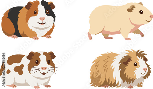 Tableau sur toile Cute Guinea Pig Pet Character Vector Set Featuring Various Breeds Shorthair Abys