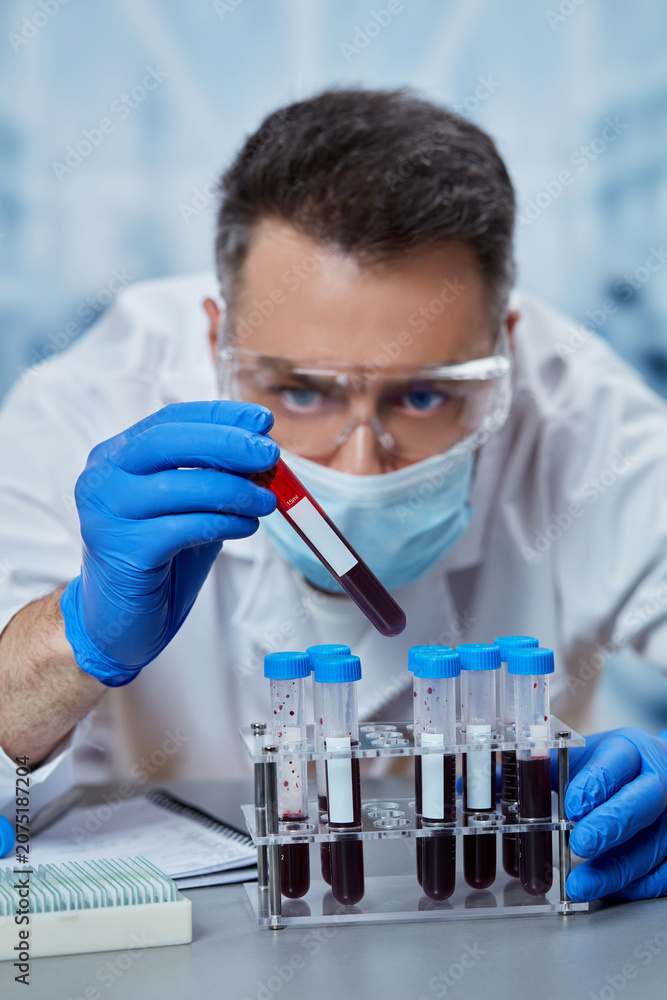Fototapeta premium Laboratory technician inspecting blood specimen for diagnostic evaluation