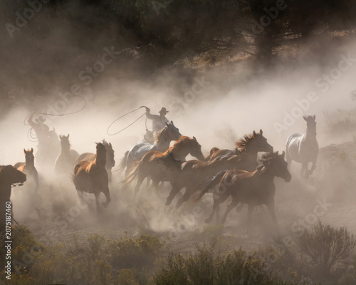 Fényképezés Cowboy herding a group of wild horses in a dusty desert landscape with galloping