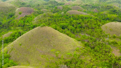 Aerial drone of the chocolate hills, a famous tourist destination on the island of Bohol, Philippines.