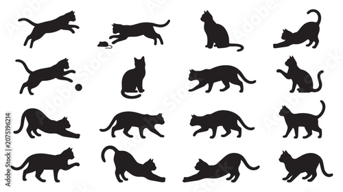 фотографія Black cat silhouettes set, 16 domestic cat vector icons in various poses, feline