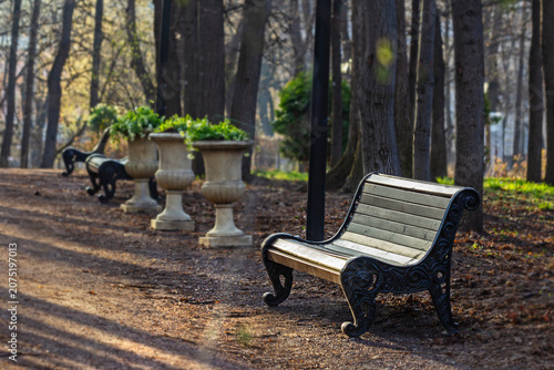Empty wooden bench in spring park