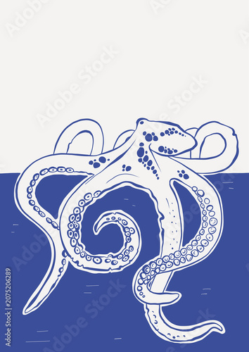 Fotografie Octopus illustration, sea creature, blue and white, ocean animal, aquatic design