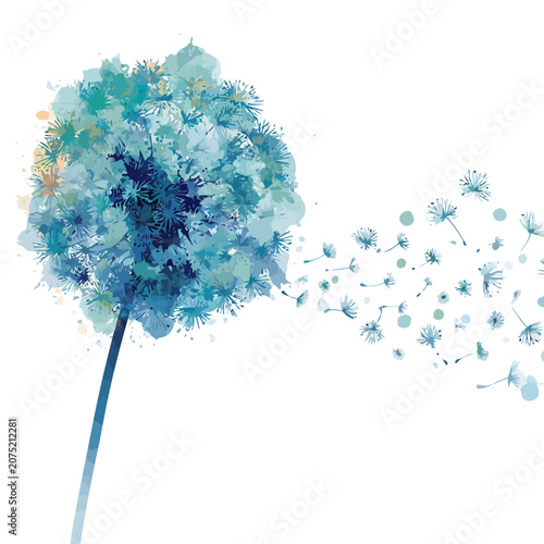 Watercolor dandelion with blowing seeds vector illustration