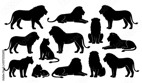 Canvas Print African wildlife silhouettes of lions resting and standing composition isolated