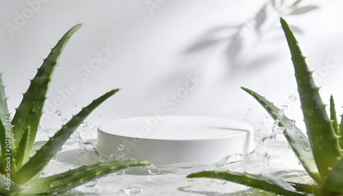 Minimal skincare display podium surrounded by fresh aloe vera leaves and water splashes, ideal for natural cosmetics, beauty products, and wellness branding.