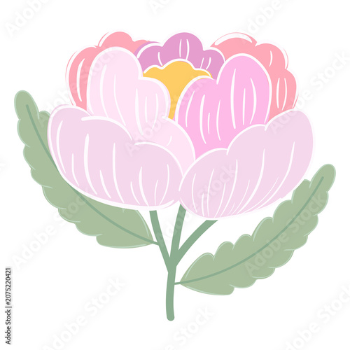coquette Floral Groupings. Vibrant Bouquets and Blooming Gardens