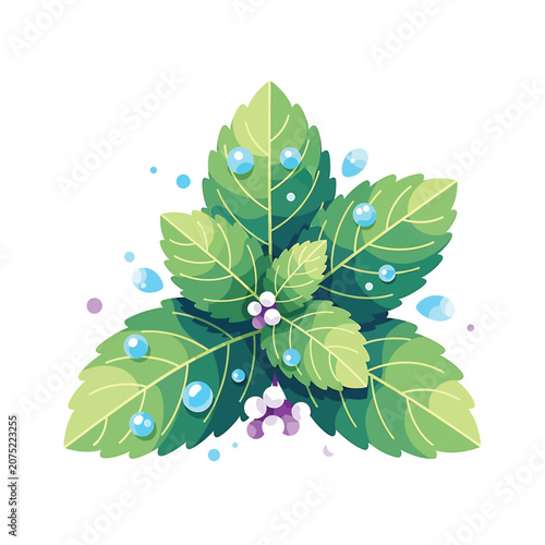 Foto Green leaves with water drops on them.
