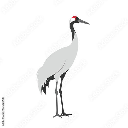 Fotografía Gray Crowned Crane Bird Profile View.