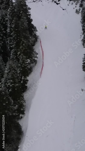 Ski-run In Forest 