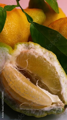 Citrus Drink Preparation with Lemon