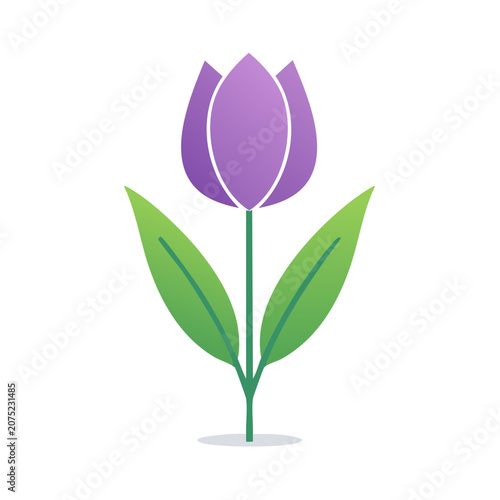 Purple Tulip Flower Flat Vector Illustration