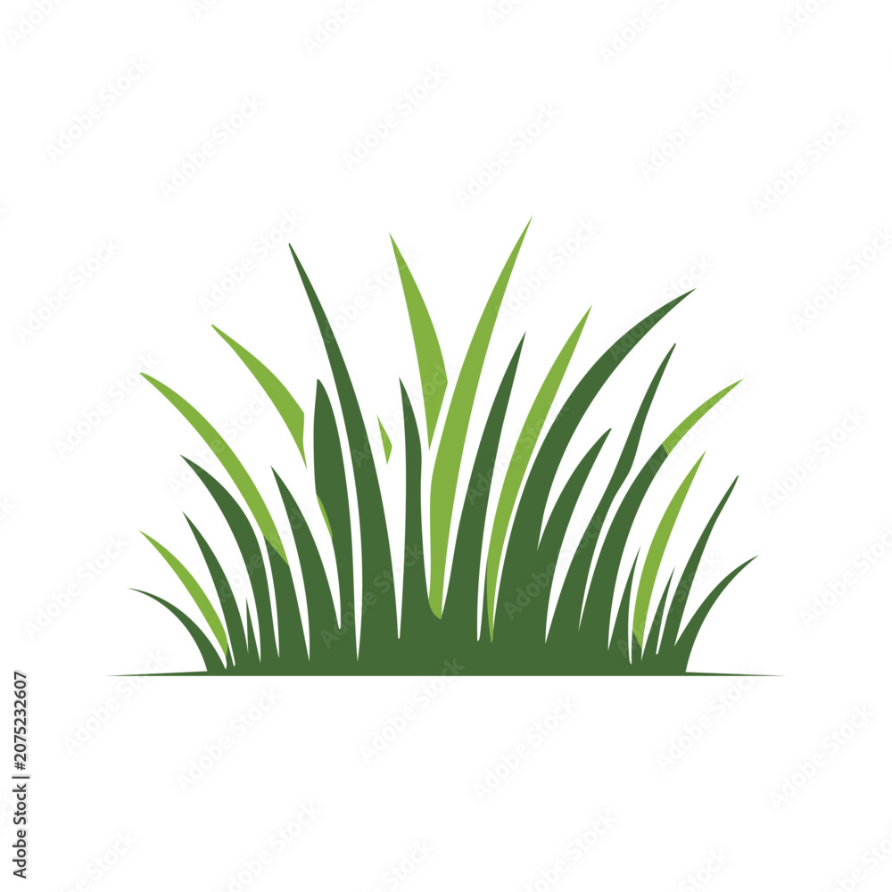 Fototapeta premium Green grass blades vector illustration