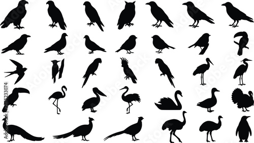 Large collection of bird silhouettes in various poses and species black icons on white background set