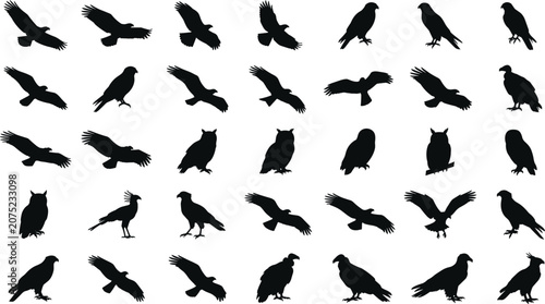 Numerous bird silhouettes in dynamic flight and standing poses against a clean background