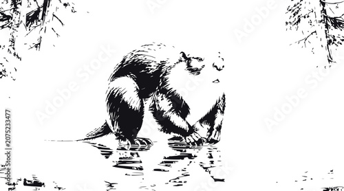 otter in water, black and white illustration