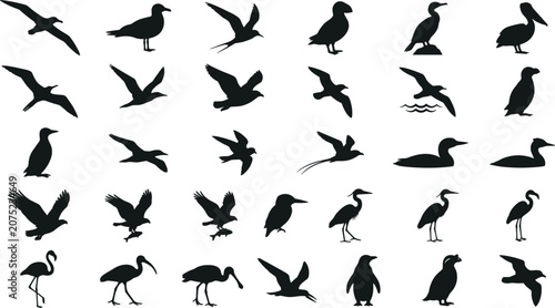 Konstfotografi Assorted nautical and aquatic bird silhouettes featuring seagulls pelicans and p