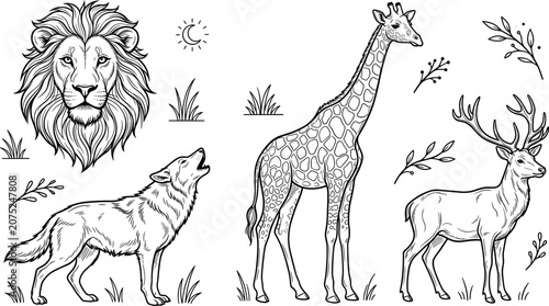 Photography Wild Animals and Safari Wildlife Collection Vector Illustration with Majestic Li