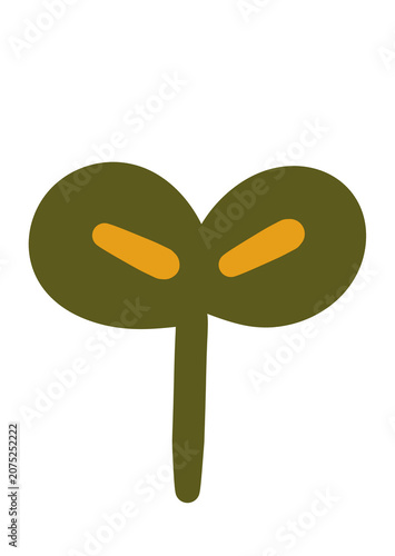 Cute Plant