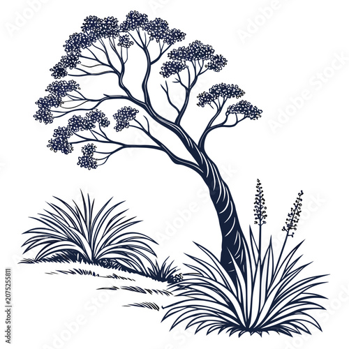 xanthorrhoea preissii botanical line art vector isolated on white background