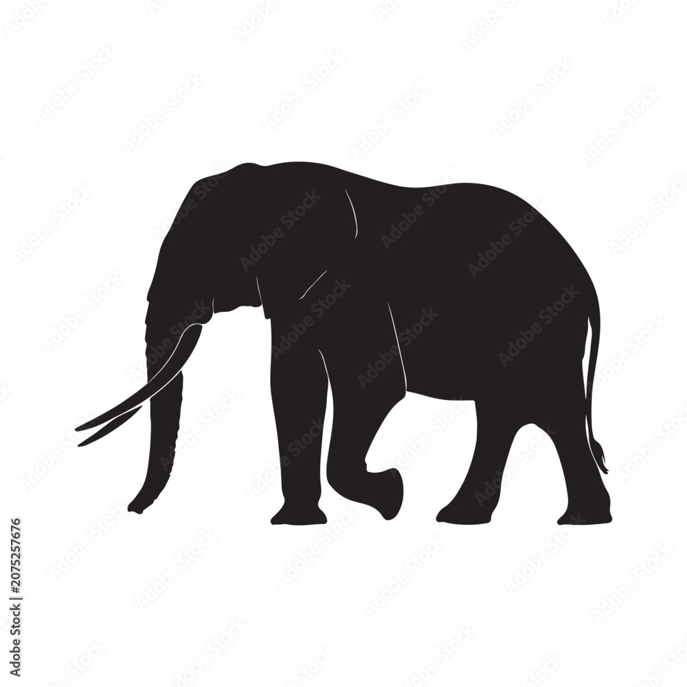 Fototapeta premium A striking silhouette of an elephant standing in profile, showcasing its majestic form and long tusks. The image captures the essence of wildlife and nature, perfect for editorial and commercial use.