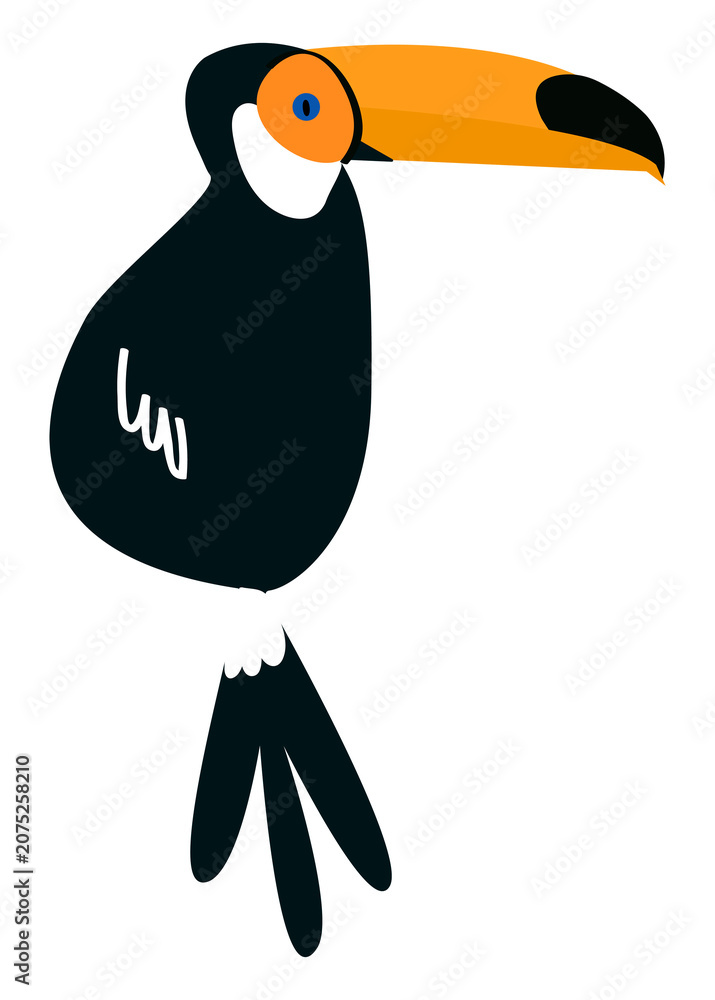 Fototapeta premium Toucan bird png illustration, transparent background
