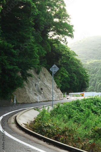 緑が美しい梅雨の山間のカーブした車道