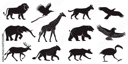 Photography Set of 12 black silhouette animal mammals and birds in style black silhouettes d