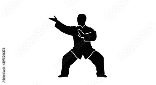 Bild auf Leinwand Man doing martial arts pose.