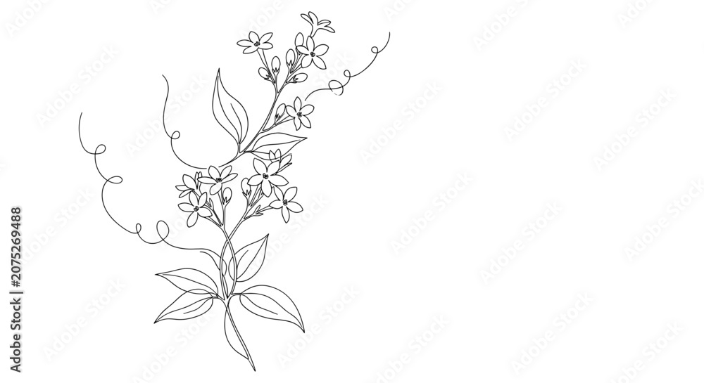 Fototapeta premium Detailed drawing of a plant.