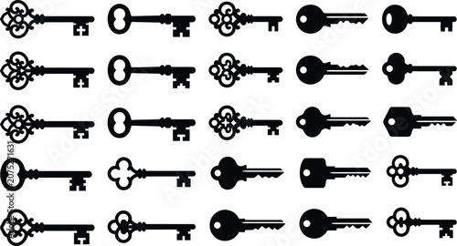 Bild auf Leinwand Black and white of 28 assorted skeleton keys on white background, key collection