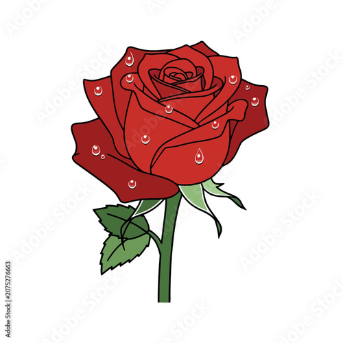 Red rose with dew drops vector illustration