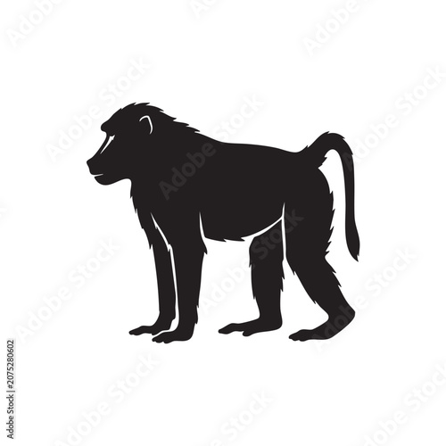 Photography Black monkey standing profile view isolated on white background, Vector, illustr