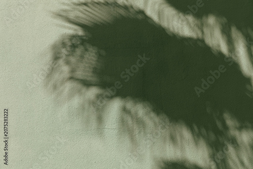 Soft palm leaf shadows fall on olive green color wall. Trendy stylish flat lay with shadow and sun light. Minimalist tropical concept, peaceful travel atmosphere, copy space.