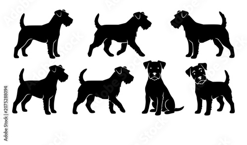 Bild auf Leinwand Terrier dog breed silhouette icon set featuring black silhouettes of wire haired
