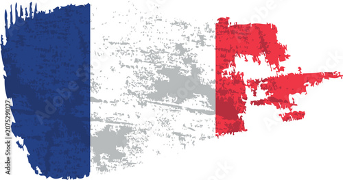 Grunge French Flag Brush Illustration