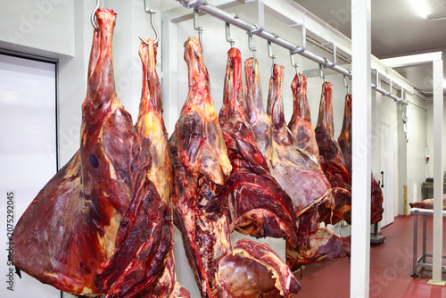 Animal carcasses are displayed in the meat processing workshop. Horse carcasses are ready for butchering. Concept of meat business