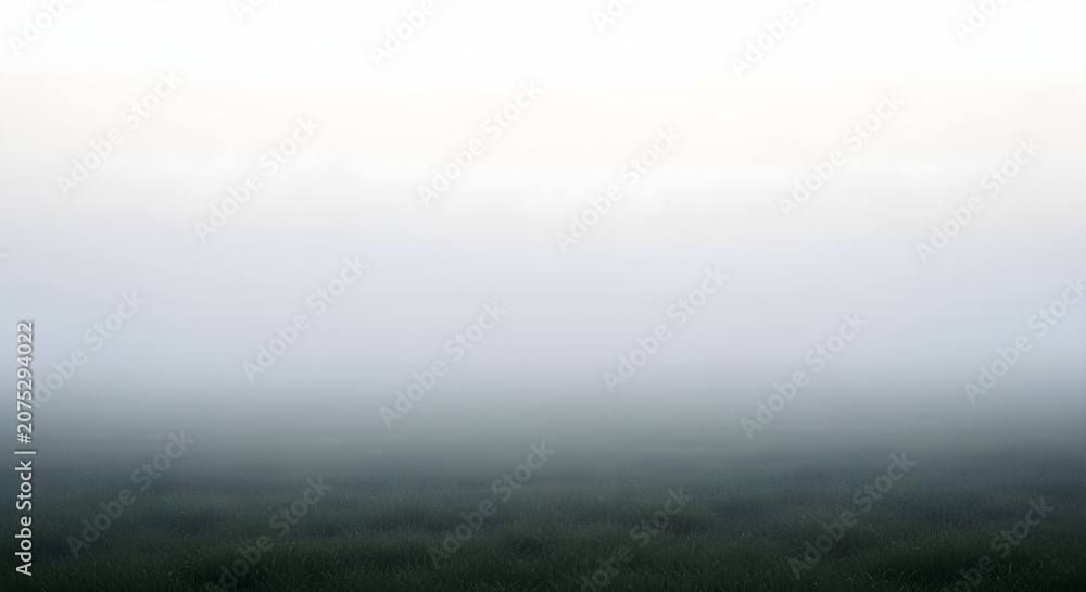 Fototapeta premium Atmospheric landscape of a grassy field shrouded in thick fog, creating a serene and mysterious natural scene