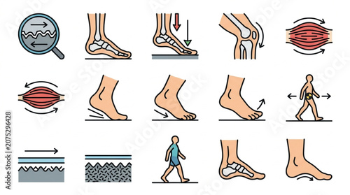 Foto Medical Illustrations of Human Foot and Leg Anatomy and Movement.