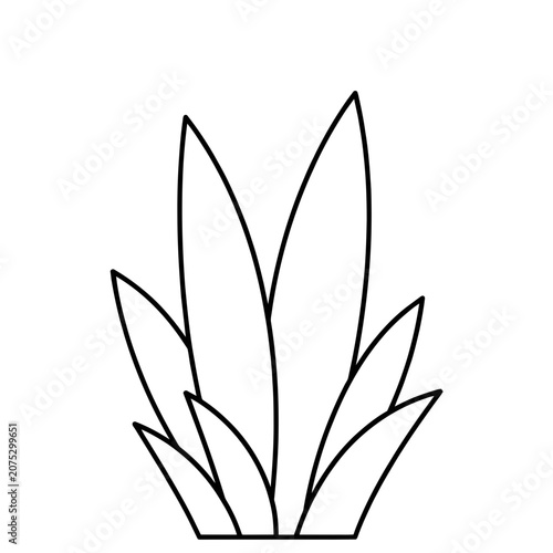 Minimalist Line Art Plant Leaves Vector