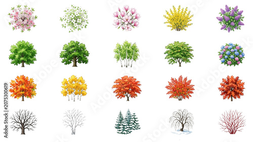 Hand Drawn Watercolor Seasonal Trees and Shrubs Vector Set for Landscape Design