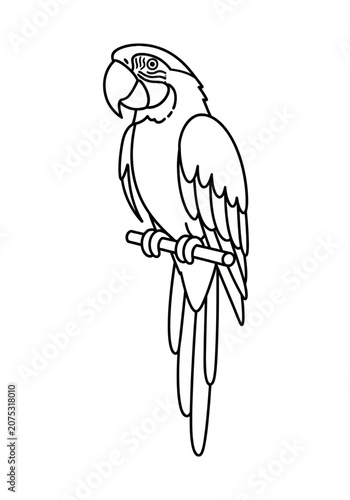 Minimalist line art parrot perched on a branch