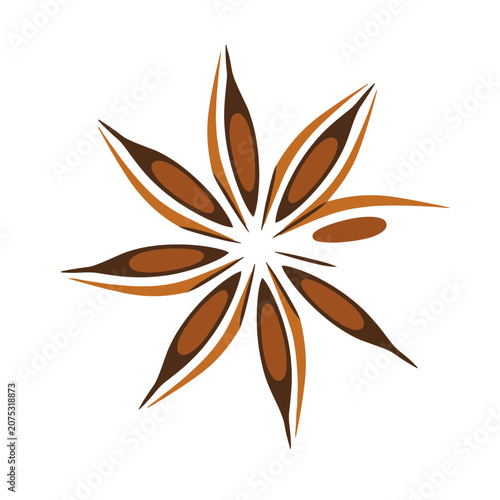 Star anise spice vector illustration