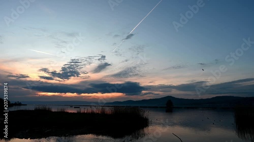 Landscape of Golden Sunset over Lake Geneva with Reeds and Water birds in Switzerland. Real time.
