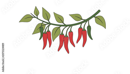 Branch of a chili plant laden with multiple bright red chili peppers and green leaves representing fresh produce and spicy ingredients.
