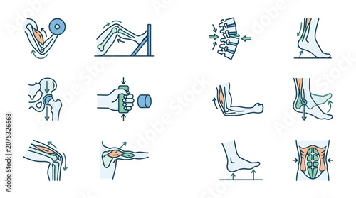 Medical Illustrations of Human Anatomy and Physical Therapy Exercises.