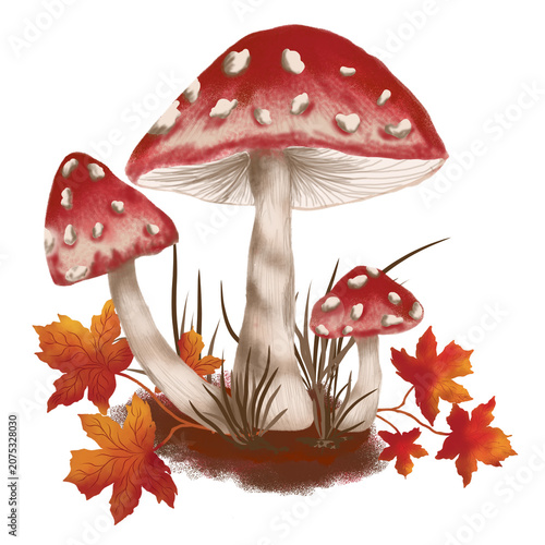 Картината върху платно Watercolor Fly Agaric Mushrooms with Autumn Maple Leaves Illustration