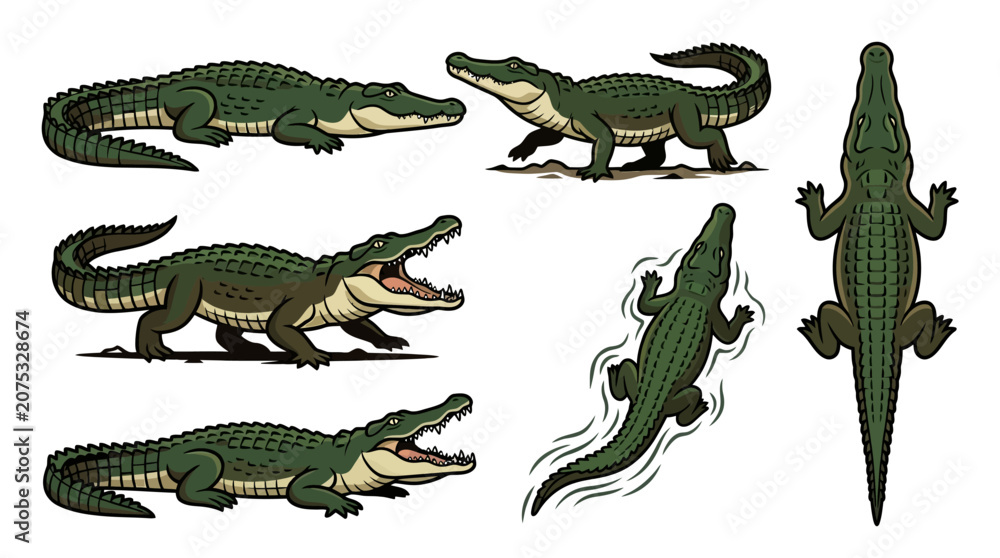 Fototapeta premium Crocodile Pose Icon Set Vector Collection
