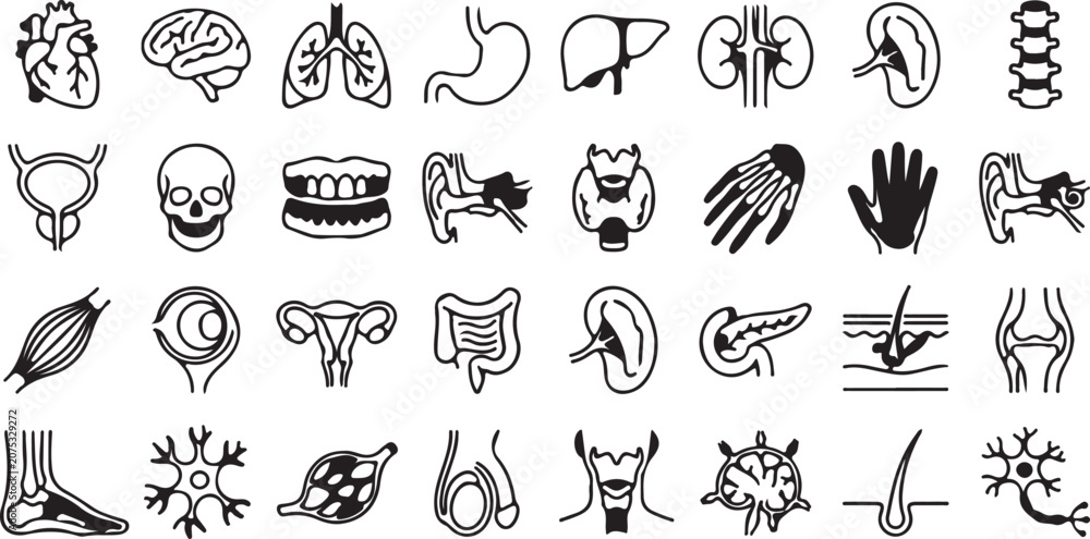 Fototapeta premium Mega Vector Icon Bundle: UI, Medical, Science, Food & Eco Symbols