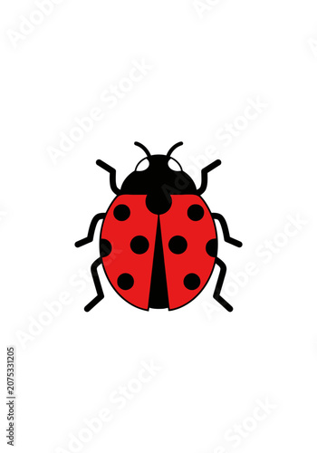 Simple cartoon ladybug with black spots on white background